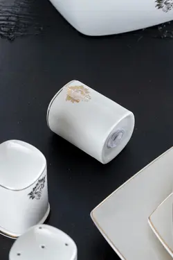 ظروف غذاخوری مربع چینی سفید Savanna  اجار Acar
