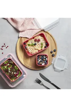 ست 4 عددی ظروف نگهدارنده پلاستیکی صورتی تفال Tefal