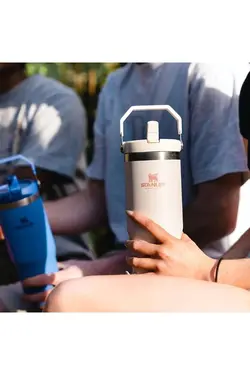 فنجان قمقمه IceFlow Flip Straw با نی مشکی استنلی Stanley