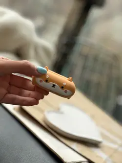 کاور ایرپاد سنجاب نشسته - فروشگاه قاب فانتزی و لوازم جانبی موبایل نایس گارد