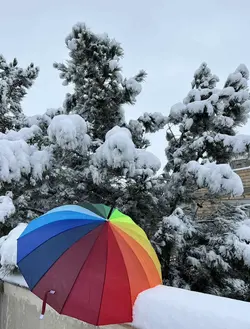 چتر رنگین کمان