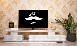 قیمت و خرید میز تلویزیون کاکتوس | آقای میز