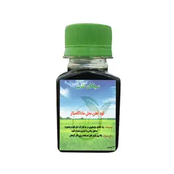 خرید آنلاین کود آهن نخل ماداگاسکار 60 میلی‌لیتر