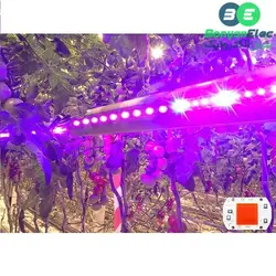 LED COB رشد گیاه 30W 220V با درایور داخلی