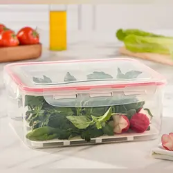 باکس سبزیجات مستطیل لیمون