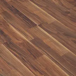 آرتا بلوط سیزن