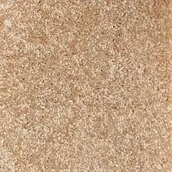 پالاز موکت آلبوم کات بی کد 5611 - آذرخش دکور
