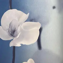 کاغذ دیواری شیبوری کد 19133