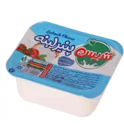 مشخصات، قیمت، خرید و پخش عمده پنیر لبنه تک نفره تندیس 30 گرم