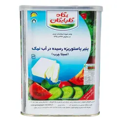 مشخصات، قیمت و خرید پنير گلپايگان 16 کیلوگرم