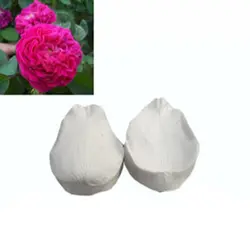 خرید وینر و کاتر گل رز باغی با بهترین کیفیت به صورت عمده و خرده - لوازم قنادی نارمیلا