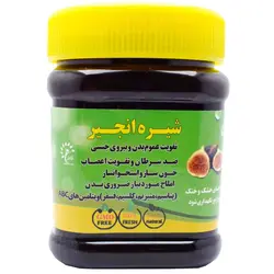 شیره انجیر سنتی  ۵۰۰ گرمی (کپی)