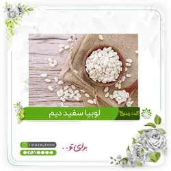 لوبیا سفید دیم ۵۰۰ گرم