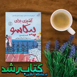 کتاب آشپزی برای پیکاسو