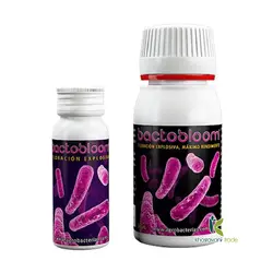 Agrobacterias Bactobloom (کود آگروباکتری باکتوبلوم)