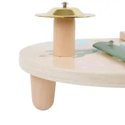 ست موسیقی چوبی کلاسیک ورلد Classic World