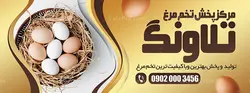 بنر تخم مرغ فروشی