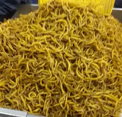 ترشی فلفل سوزنی میرزایی (دبه)
