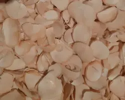 موسیر پرک شده