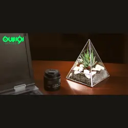 تراریوم و ظرف شیشه ای تیفانی (مدل A100)