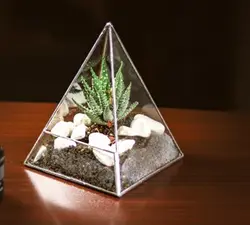 تراریوم و ظرف شیشه ای تیفانی (مدل A100)