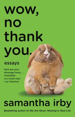 دانلود کتاب Wow No Thank You Essays  نوشته Samantha Irby