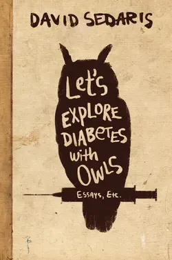 کتاب بیا با جغدها درباره دیابت تحقیق کنیم+دانلود Let's Explore Diabetes With Owls