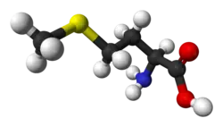 دانلود خلاصه طرح توجیهی تولید متیونین