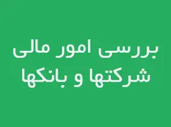 بررسی امور مالی شرکت ها و بانک ها | بیبلیوفایل