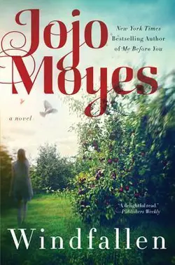 دانلود رها در باد نوشته جوجو مویز-Windfallen by Jojo Moyes