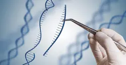 پاورپویت کاربردهای عملی مهندسی ژنتیک | بیبلیوفایل