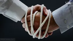 اشخاص حقیقی و اهلیت | بیبلیوفایل