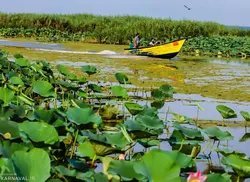 اطلاعات کامل در مورد تالاب انزلی | بیبلیوفایل