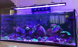 EL-320W - الکترونیک20