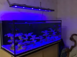 EL-320W - الکترونیک20