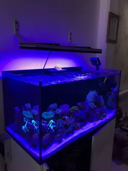 EL328W - الکترونیک20