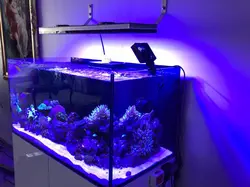 EL328W - الکترونیک20