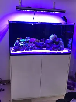 EL328W - الکترونیک20