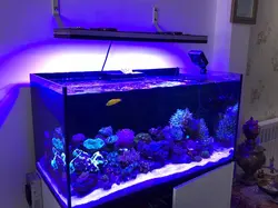 EL328W - الکترونیک20