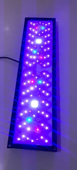 EL328W - الکترونیک20