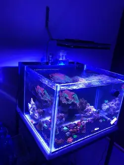 EL210w - الکترونیک20