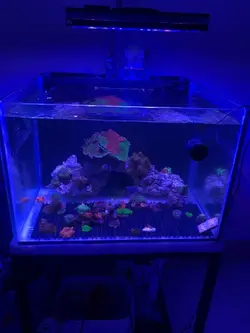 EL210w - الکترونیک20