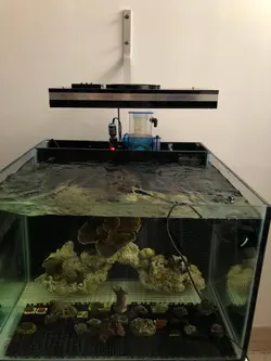 EL210w - الکترونیک20