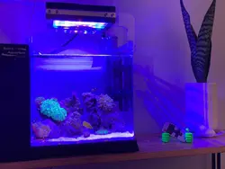 EL75W - الکترونیک20