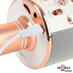 میکروفون اسپیکر مدل WS-858
