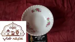 شش عدد سالاد خوری گلسرخی ژاپنی قطر ۱۳
