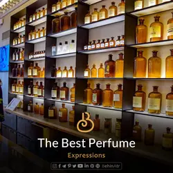 عطر گل سنجد