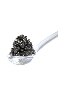 خاویار امپریال بلوگا 30 گرمی کاسپیکا
