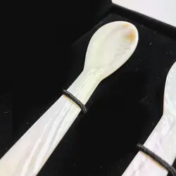 بسته 2تایی قاشق صدف