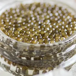 خاویار آسترا 50 گرمی درجه 1